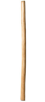 Medium Size Natural Finish Didgeridoo (TW995)